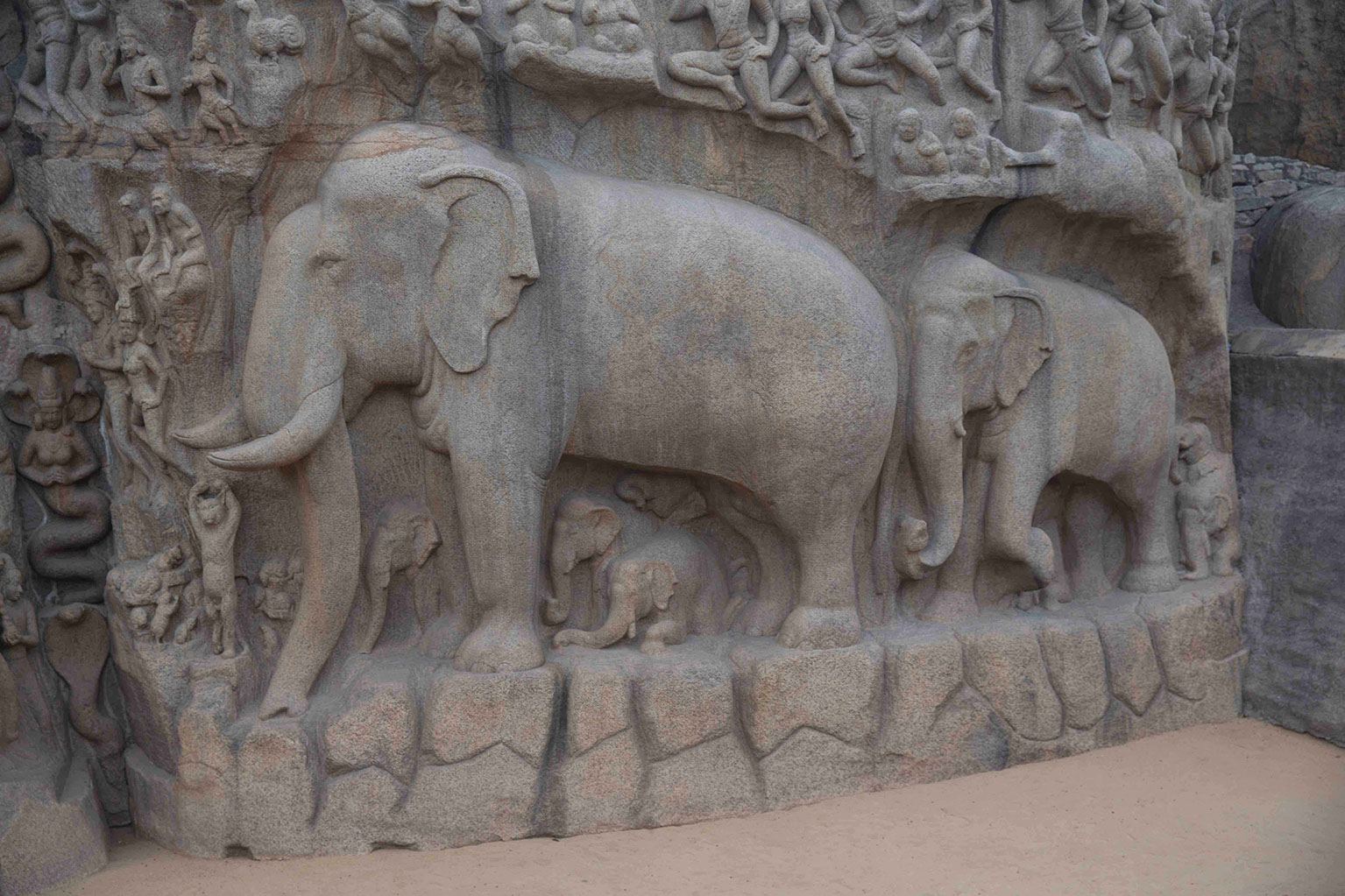 Photo voyage et animaux – bas relief elephants inde