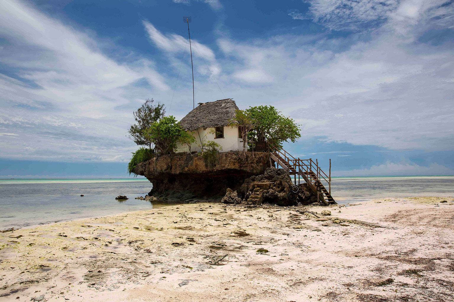Photo voyage et animaux – zanzibar